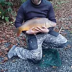 Tatil Evi L'orbiquet La-Roche-en-Ardenne