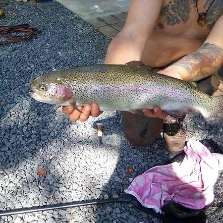 L'orbiquet Vakantiehuis *