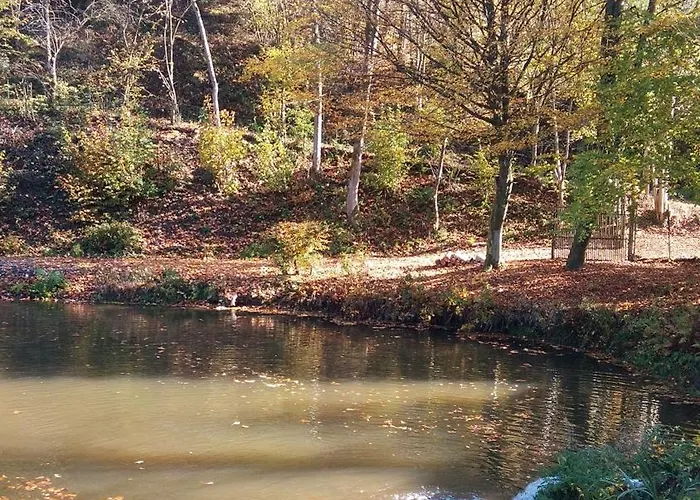 L'orbiquet La-Roche-en-Ardenne