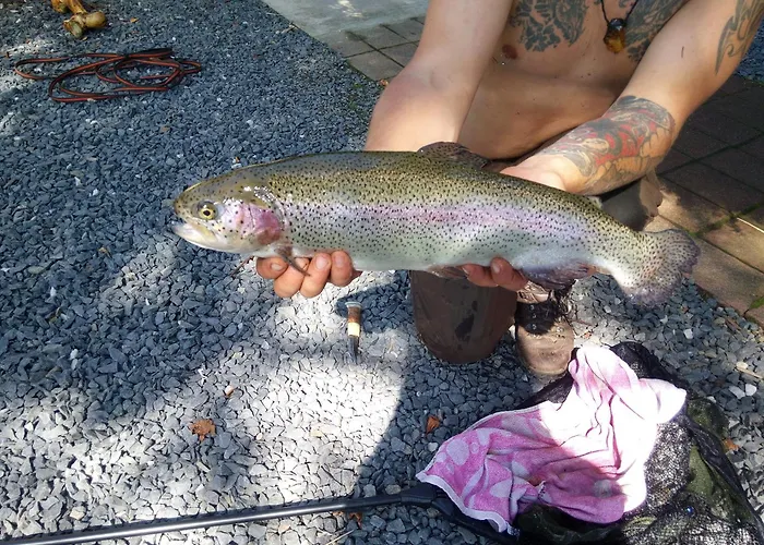 L'orbiquet Dom wakacyjny *