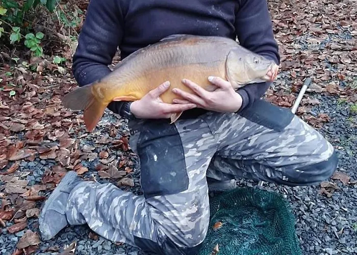 Dom wakacyjny L'orbiquet La-Roche-en-Ardenne