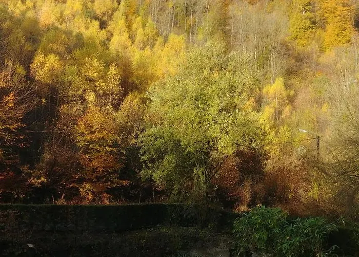 L'orbiquet * La-Roche-en-Ardenne